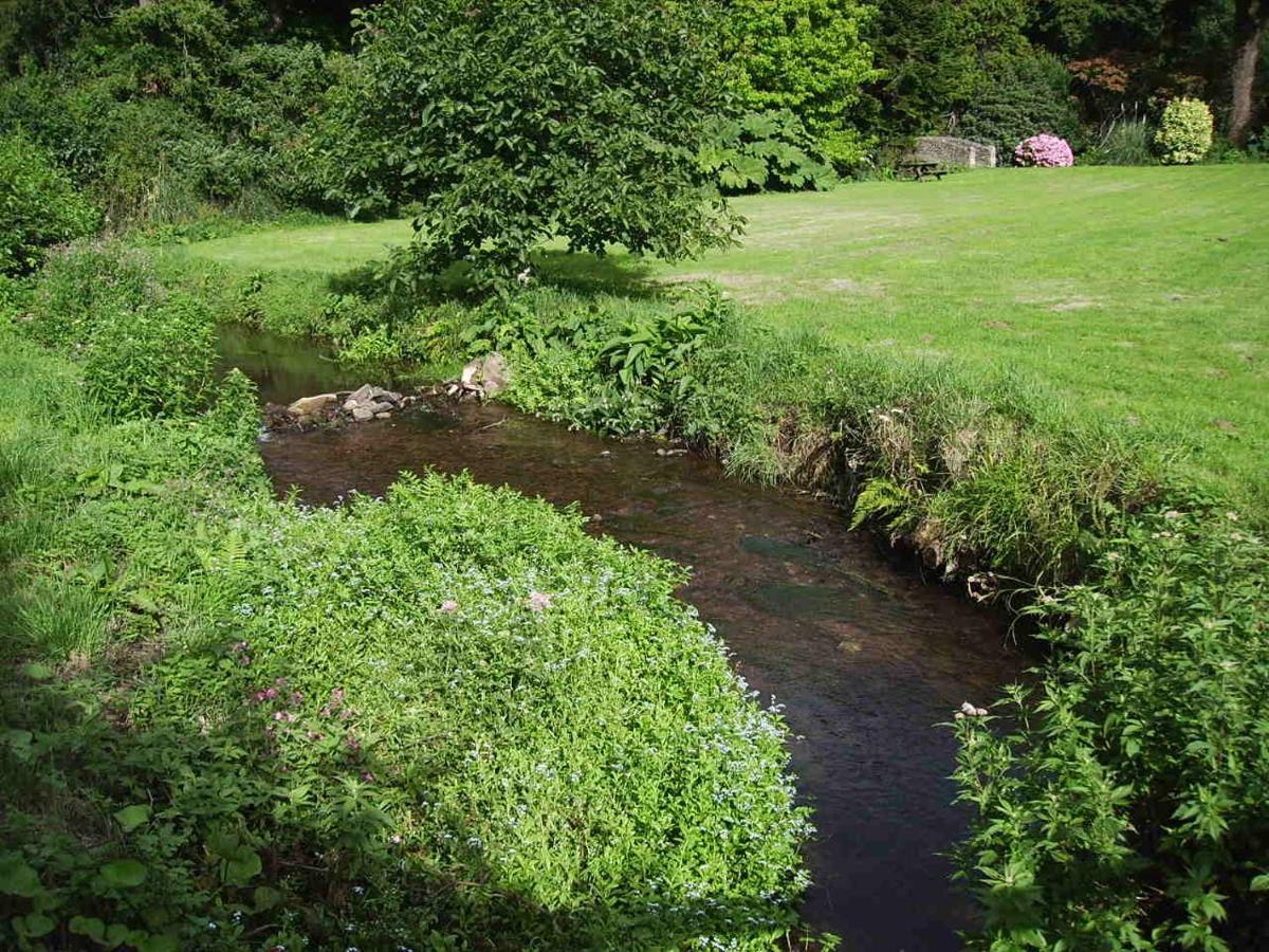 Luxury Bed And Breakfast At Bossington Hall In Exmoor, Somerset Porlock Εξωτερικό φωτογραφία