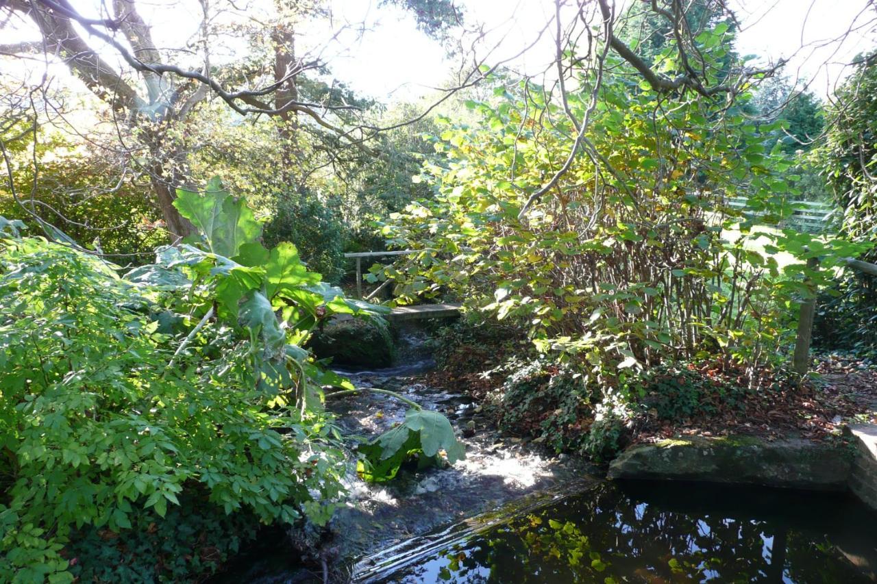 Luxury Bed And Breakfast At Bossington Hall In Exmoor, Somerset Porlock Εξωτερικό φωτογραφία